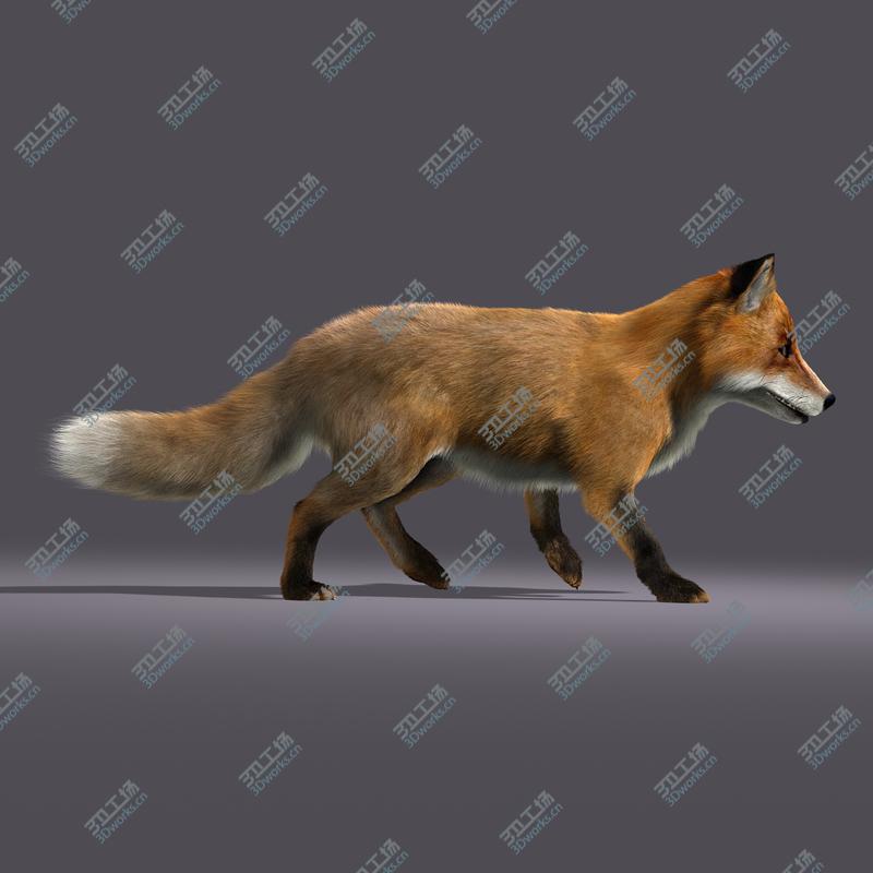 images/goods_img/2021040232/Fox (ANIMATED) (FUR)/2.jpg